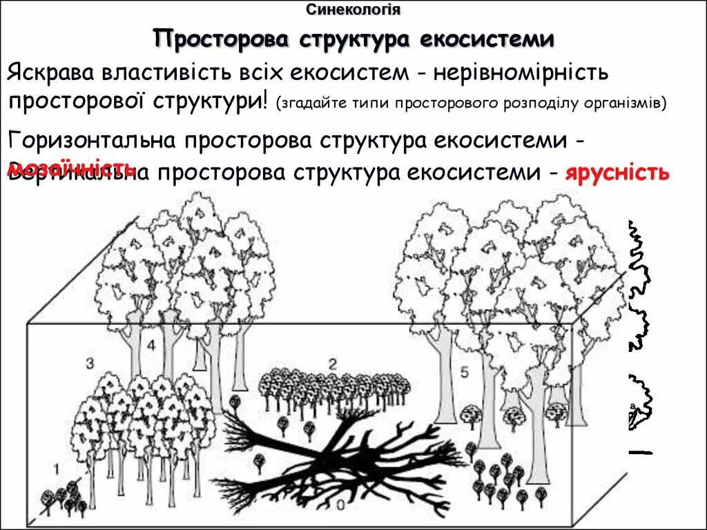 Мозаичное строение сообщества обусловлено