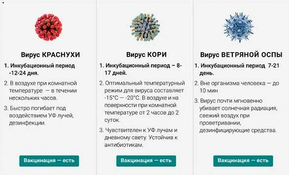 Сколько живет вирус на поверхности. Сколько живут вирусы. Сколько живут вирусы вне организма. Сколько живёт вирус ВИЧ вне организма. Сколько стоят вирусы.