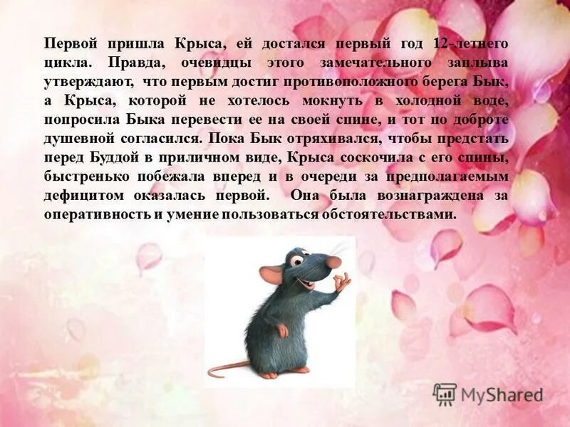 2008 год. мыши в космосе презентация. стих про крысу короткий. красивые имена для крыс мальчиков. 2008 год какой крысы.