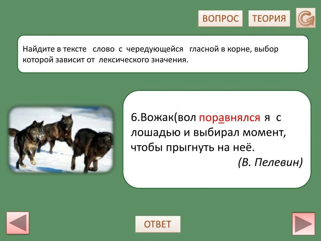 Определите лексическое значение слова корень. Волк поравнялся с лошадью и выбирал момент чтобы прыгнуть. Вожак это определение. Значение слова вожак. Поравняться с соперником.