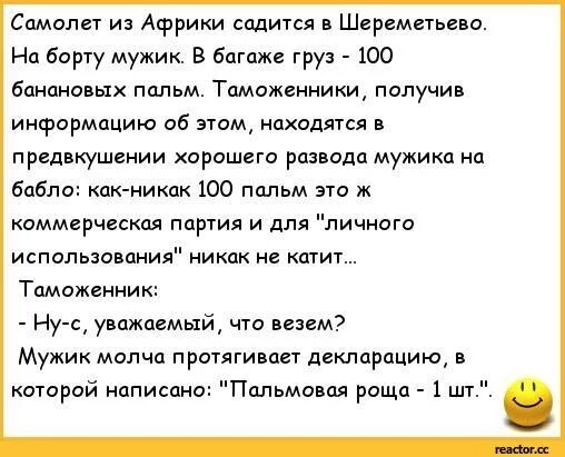 Мужчины в разводе в 40. Расистские анекдоты. Анекдот про самолет. Анекдоты про Африку. Анекдоты про таможню.