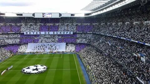 Поставь champions