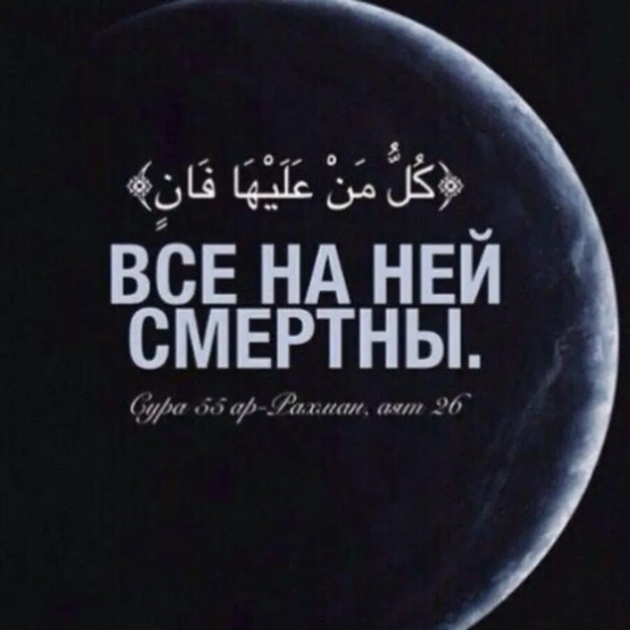 Любовь и смерть не надо искать они сами тебя. Все на ней смертны. Цитаты про смерть. Все на ней смертны. Все на ней смертны.