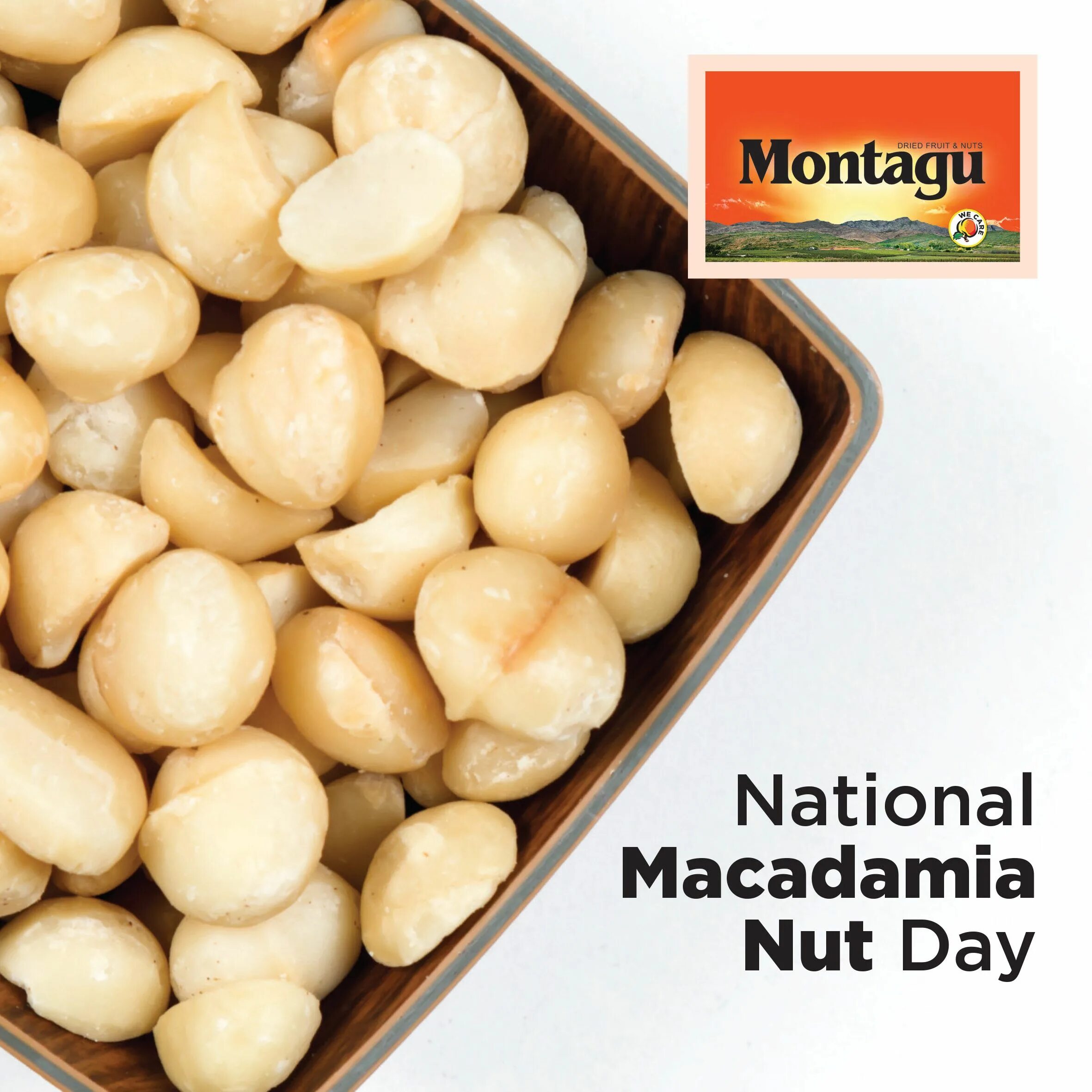 Макадамия 3 ореха. Макадамия 100гр. Сыр макадамия. Орешки макадамия. Сыр макадамия.