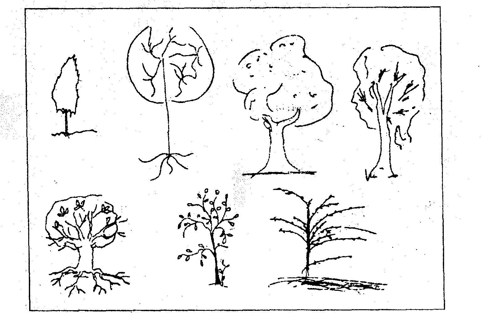 Результат теста дерево. Проективный тест дерево в бурю. Дерево для рисования. Методика рисованию дерева. Проективные рисуночные тесты.