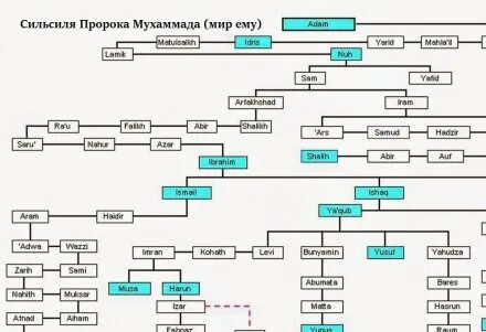 От адама до мухаммада