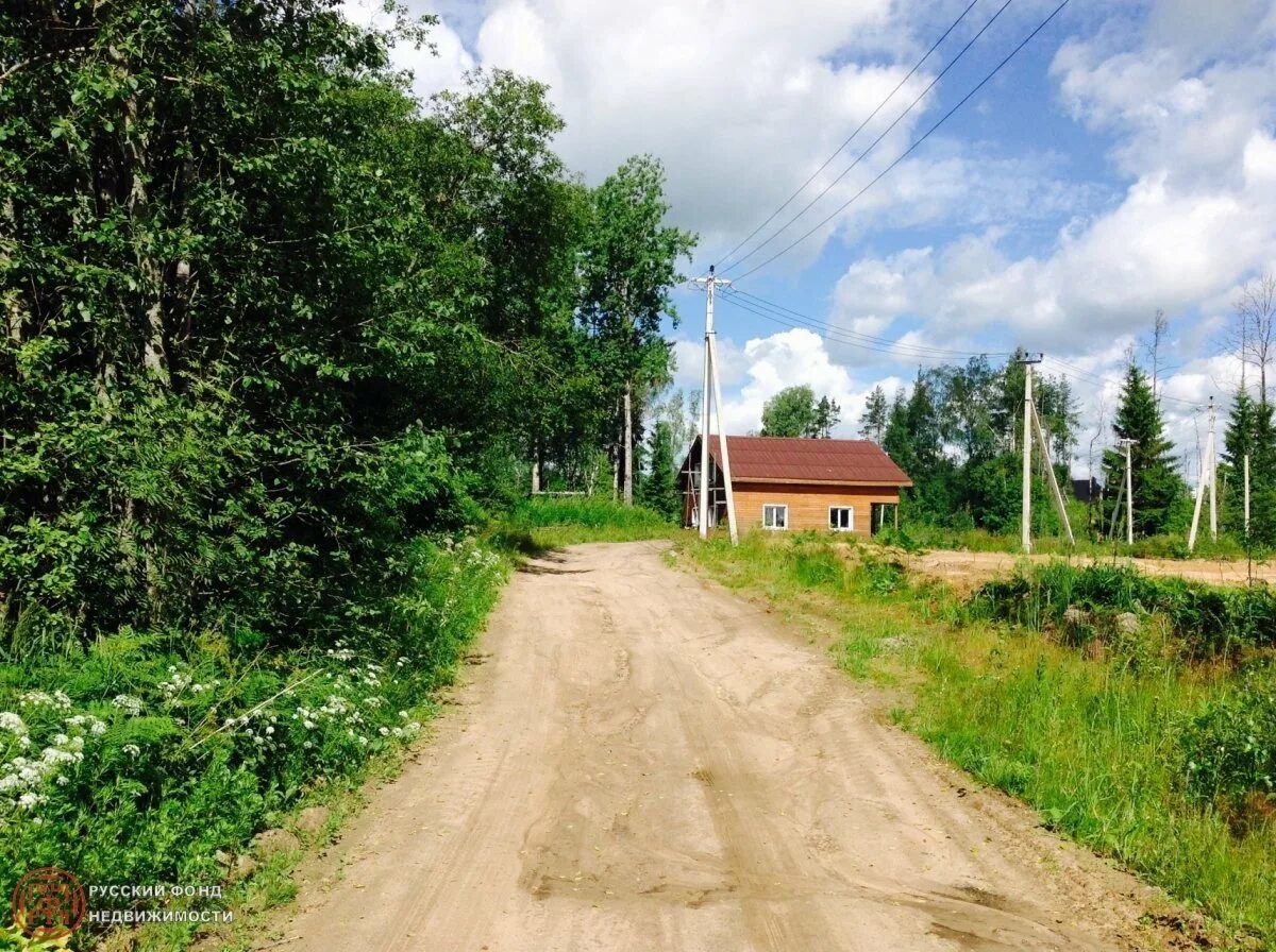 Погода в грузино ленинградской области всеволожский район. Деревня Грузино. Карасаари Ленинградская область. Грузино парк коттеджный поселок. СНТ Карасаари Грузино автобус.