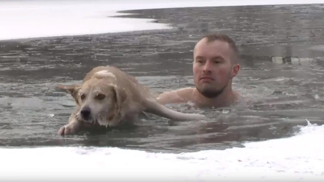 Мужчина спас собаку. Спас собаку из ледяной воды.