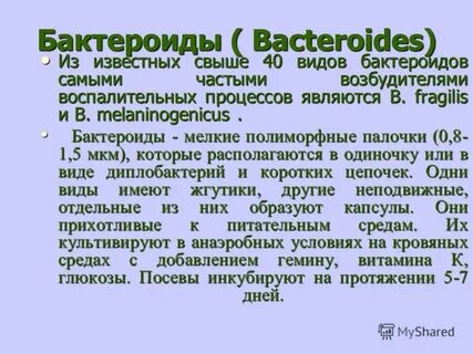 Бактероиды