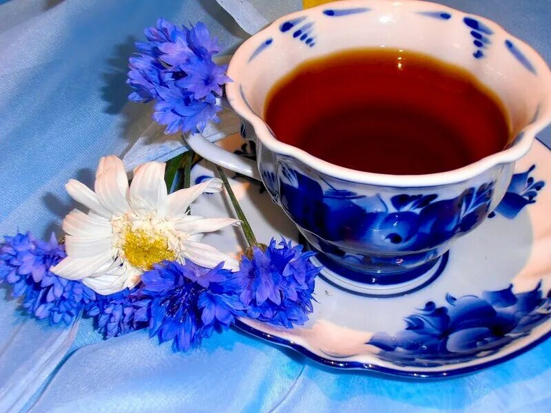 цветы в чашке. шоколад цветы кофе. утренний чай с цветами. доброе утро с чашечкой кофе. чашка кофе и цветы.