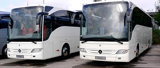 Автобусы северок омск. Автобусы северок билеты. Транспортная компания северок. Автобусы северок билеты. Омск северок транспортная компания.