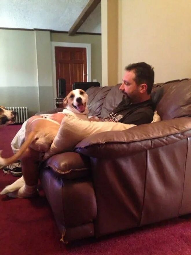 собак отец фото. папы, которые были против собак. отец и собака мем. отец собака. папа собака.