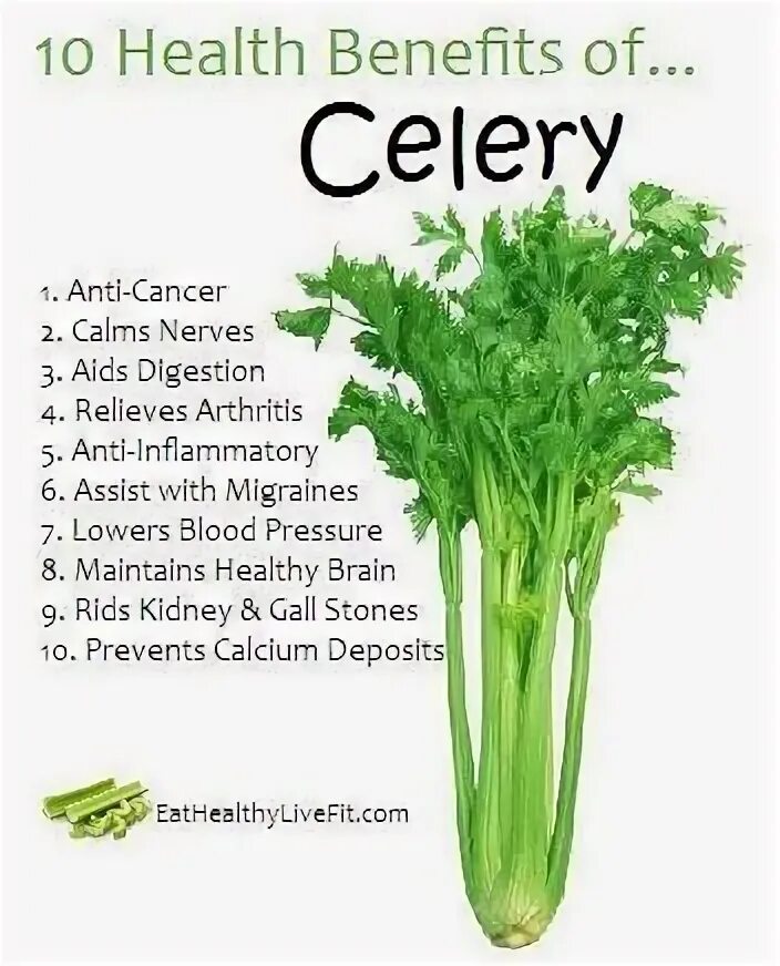 Celery scripts. Сельдерей. сельдерей celery seed дотерра. celery транскрипция. healthy benefit.