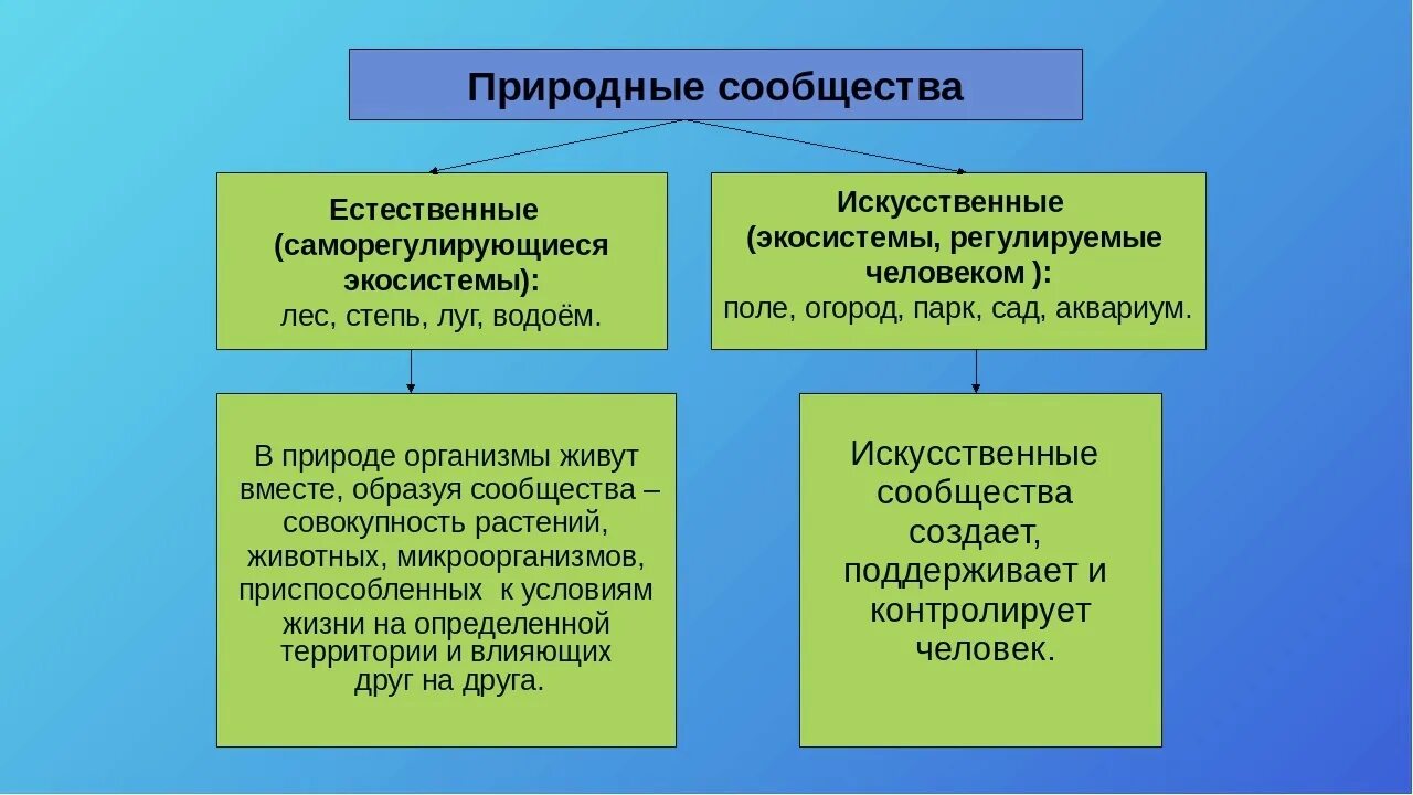 Искусственные сообщества 5 класс сообщение