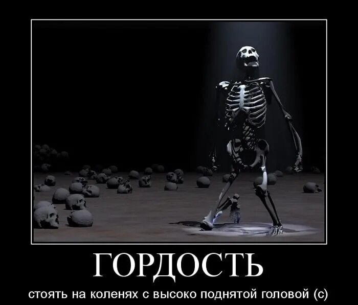 Гордость за что то это. Гордость демотиваторы. гордыня демотиватор. гордость прикол. гордыня демотиваторы смешные.
