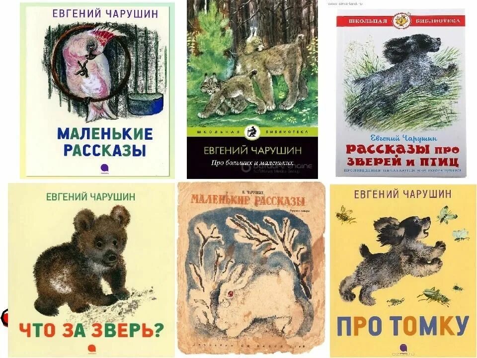 Пересказ рассказа кабан. Иллюстрации Чарушина к книгам Пришвина. Произведения е Чарушина для 4 класса.