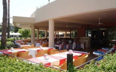 Palmeras beach hotel отзывы