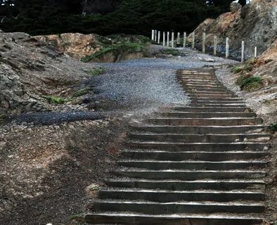 Steps download