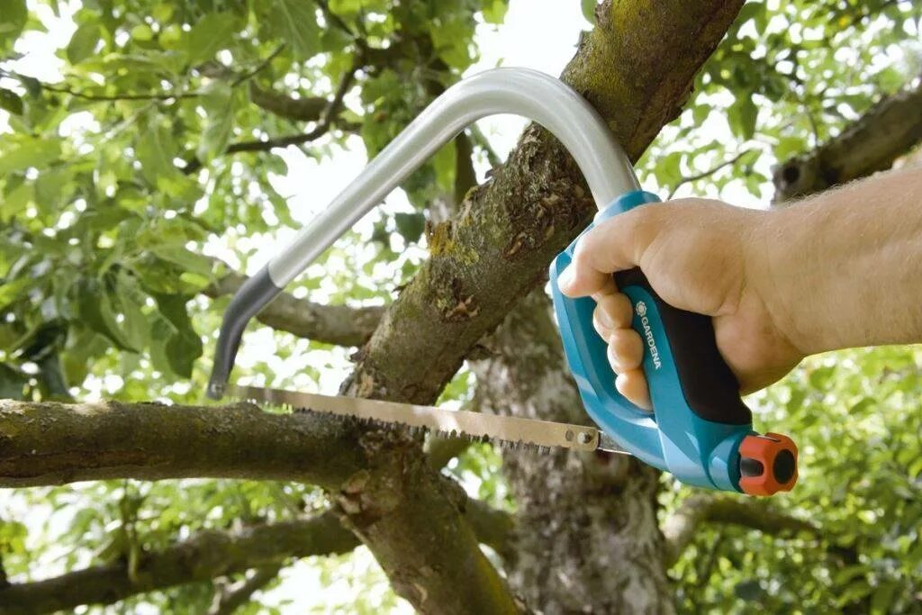 5. Ножовки для обрезки деревьев. Сабельная пила пит аккумуляторная. Садовая пила bosch keo 0600861900. 600.