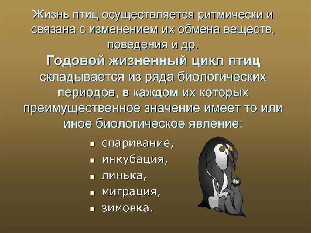 Последовательность сезонных явлений в жизни птиц