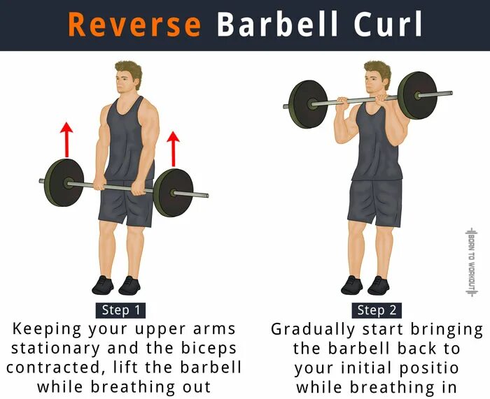 Curl на русском. Reverse Barbell Curls. Reverse Curl. Reverse Grip Barbell Curls. Barbell biceps Curl.