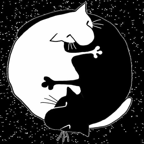 Котик инь. Кот инь янь. инь янь из котов. коты инь янь рисунок. котики инь и янь вылизываются.