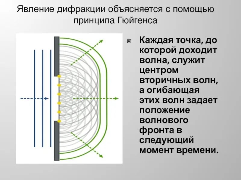 Дифракция света принцип Гюйгенса. Дифракция волн принцип Гюйгенса-Френеля. Дифракция света принцип Гюйгенса-Френеля. Фронт волны принцип Гюйгенса Френеля. Интерференция света объясняется явление