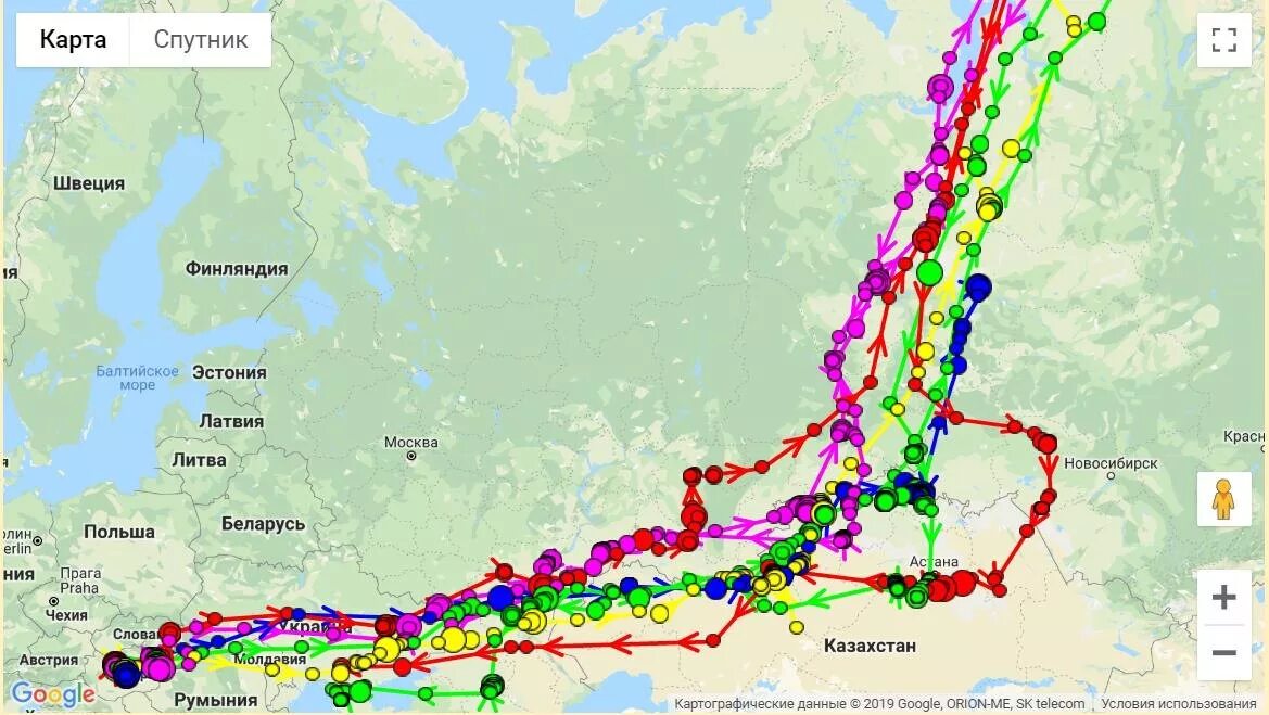 Пролет гуся. Карта миграции гусей в России. Путь миграции белолобого гуся в России. Маршруты миграции гусей в России. Пути миграции гусей на карте России.