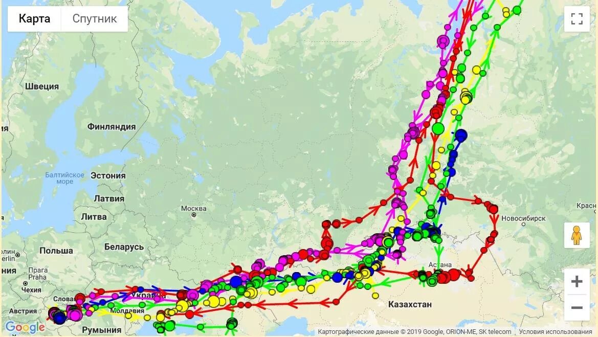 Куда летят гуси весной в россии. Карта миграции гусей 2023 в России. Весенняя миграция гусей по России карты. Карта миграции гусей в России. Путь миграции белолобого гуся в России.