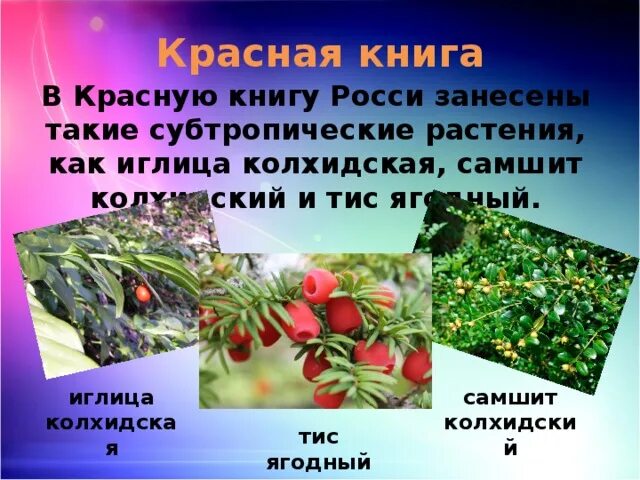 Красная книга субтропиков
