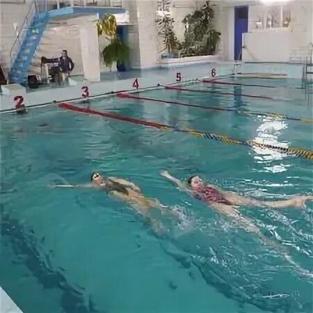 лазурный бассейн минск. соревнования в ярославле 2023 в бассейне лазурный. бассейн лазурный новосибирск. лазурный бассейн минск. лазурный бассейн тушино.