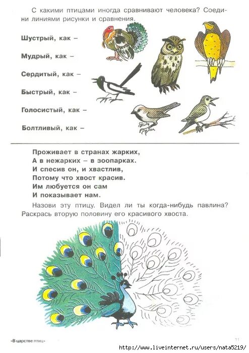 Задания про птиц для дош. Птицы задания для детей. Птицы задания для дошкольников. Птицы чтение задания для детей.