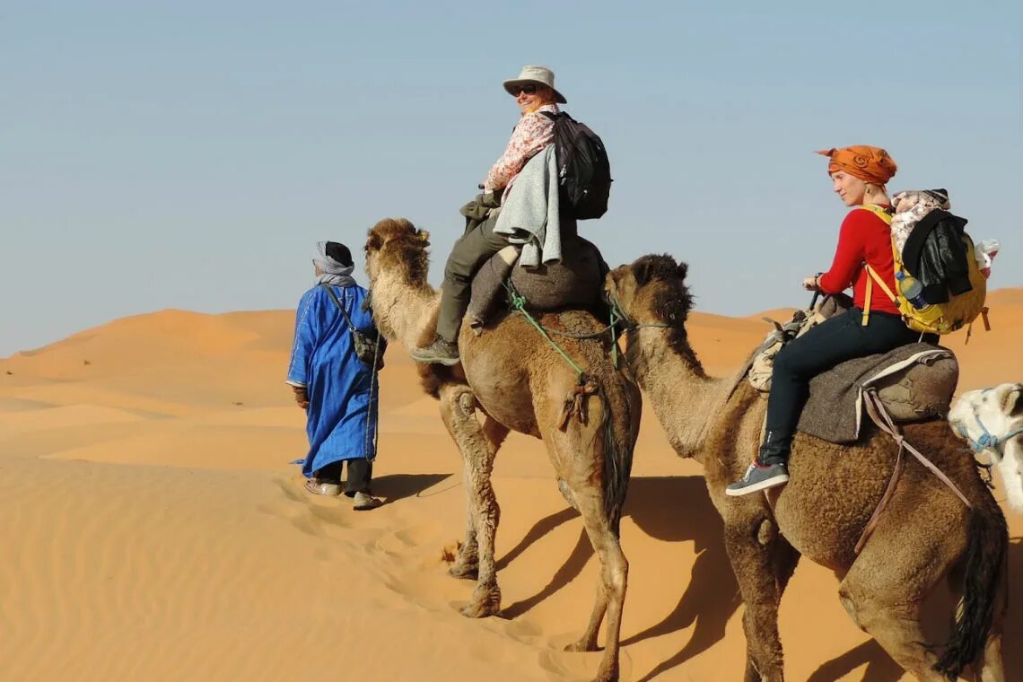 верхом на верблюде. бедуины хургада.