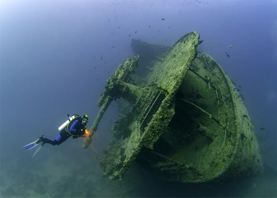 Затонувший корабль в Египте Тистлегорм. Тистлегорм корабль затонувший. Тистельгорм затонувший корабль. Шарм-Эль-Шейх дайвинг корабль затонувший Тистлегорм.