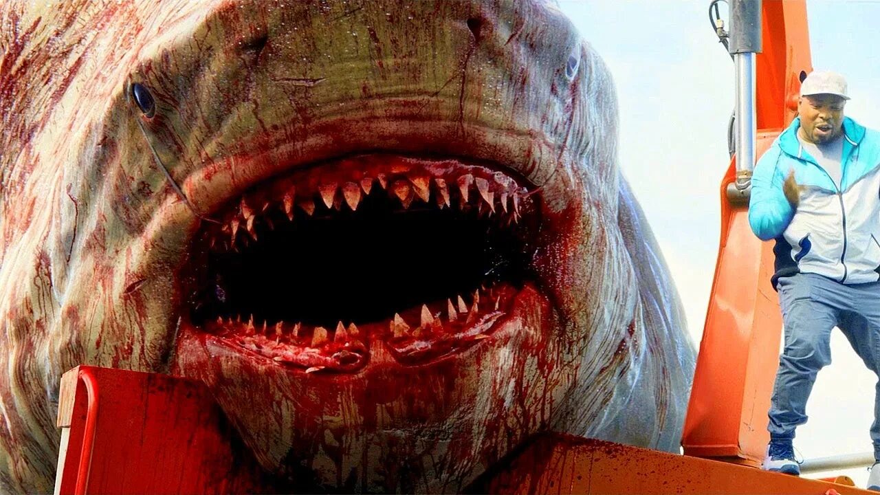 Бывают страшные и большие. МЕГАЛОДОН 2018. Самая большая акула МЕГАЛОДОН. Мег монстр глубины МЕГАЛОДОН.