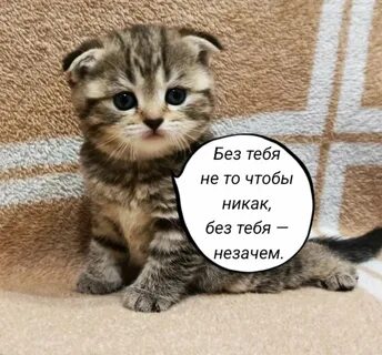 Без этого никак было