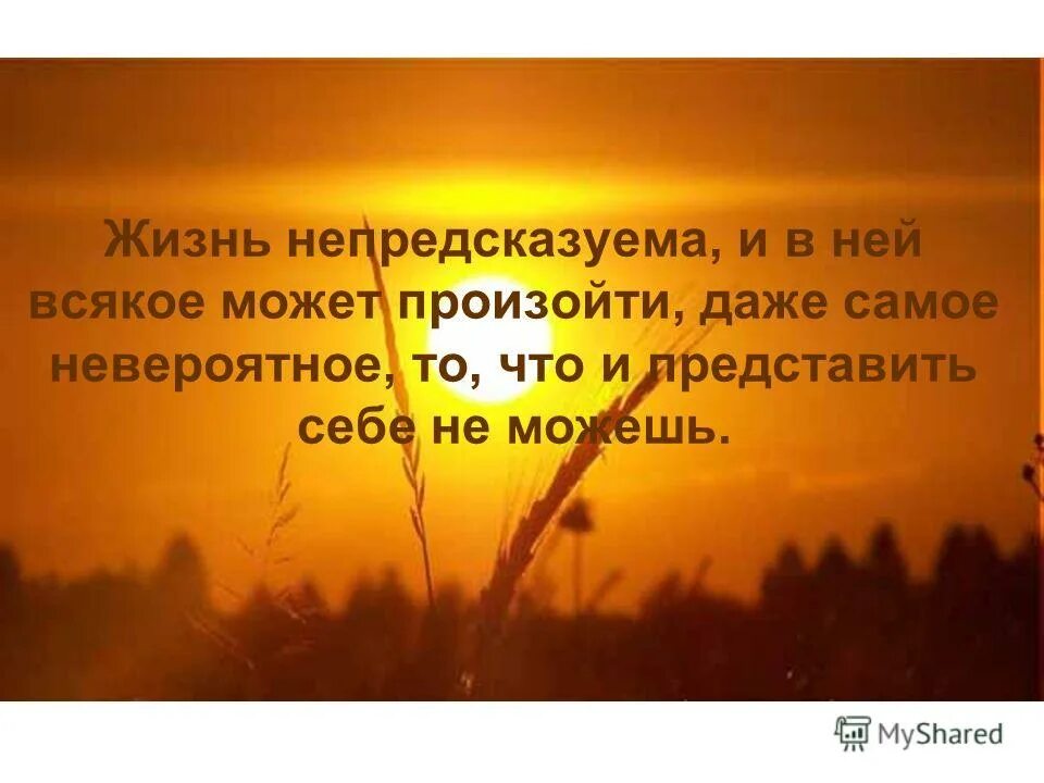 Жизнь непредсказуема цитаты. Жизнь не придсказуймая. Афоризмы про непредсказуемость жизни. Высказывания о непредсказуемости жизни. Невероятное цитаты