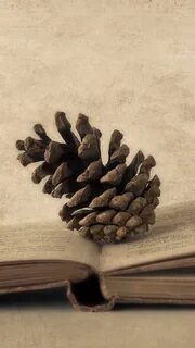 Шишки книга