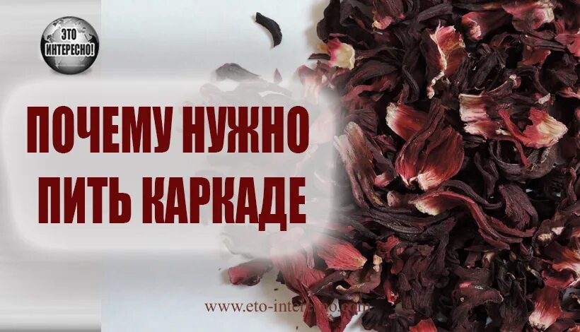 Каркаде дата регистрации. Каркаде в пятерочке. каркаде логотип. ооо каркаде калининград.