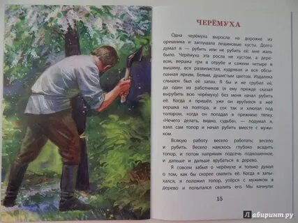 Л толстой яблоня