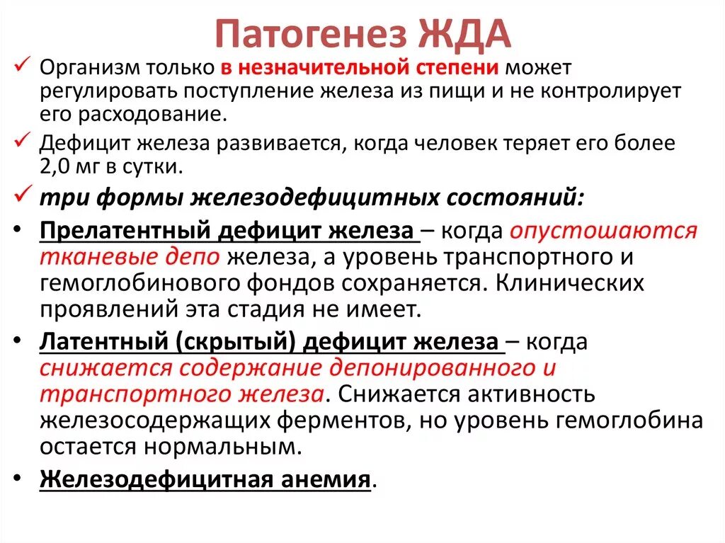 Понятие анемии. Патогенез железодефицитной анемии схема. Механизм развития железодефицитной анемии. Механизм развития железодефицитной анемии патофизиология. Железодефицитные анемии этиология патогенез картина крови.