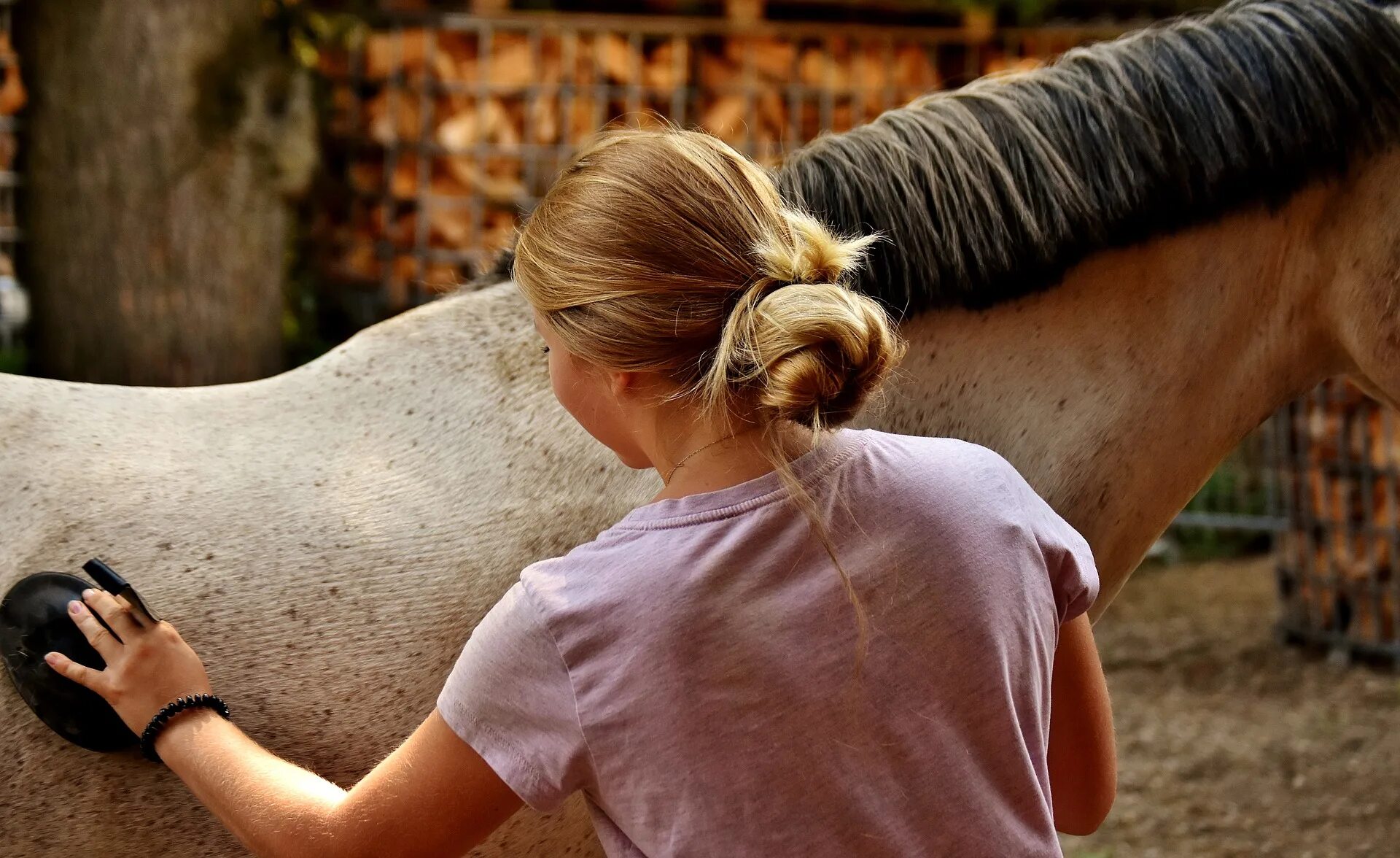 Blocking the horse. Расчесывание лошади. Мытье лошади. Ухаживание за лошадьми. Для вычесывания лошадей.