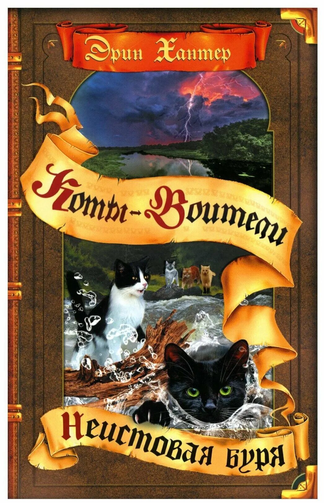 видение теней. коты воители расколотое небо. коты воители самая темная ночь. видение теней приключения ольхолапа. эрин хантер коты воители цикл видение теней гроза и тень.