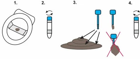За сколько до сдачи собирают кал Edacept.ru