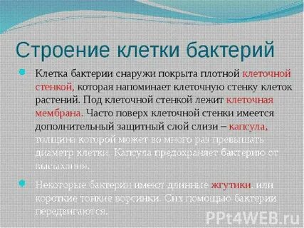 Снаружи покрыты