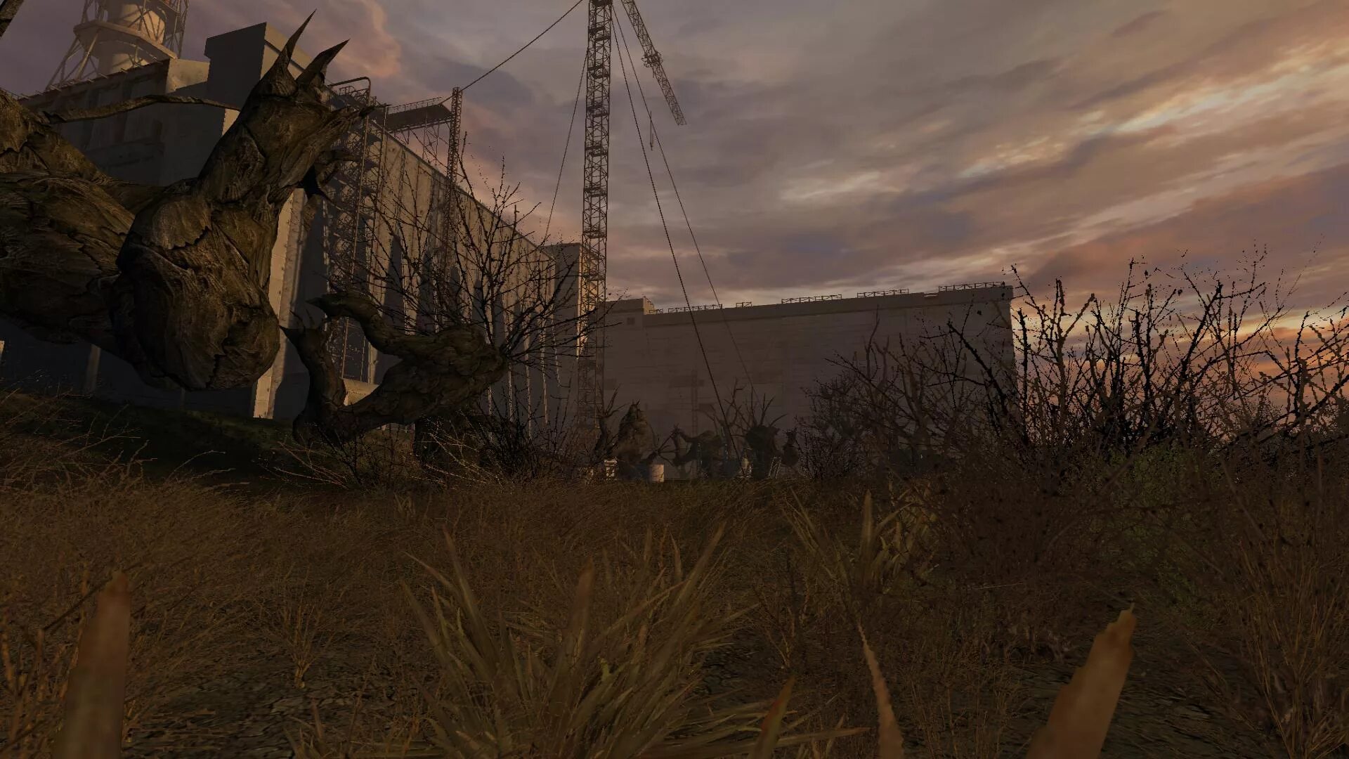 Lost path. Stalker янтарь. сталкер lost alpha. stalker флеш игра. жгучий пух сталкер.