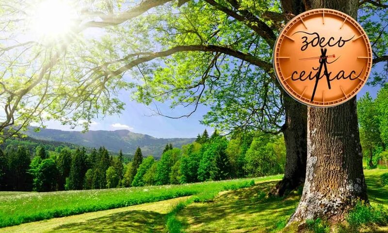 Картинками здесь живем. Здесь и сейчас картинки. картинка здесь и сейчас на рабочий стол. здесь и сейчас заставка. картинки прекрасные времена здесь и сейчас.