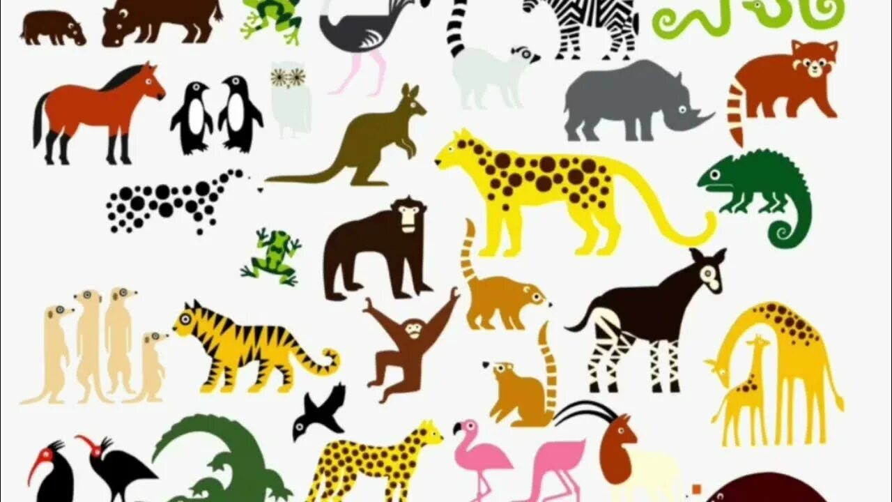 Animal themes