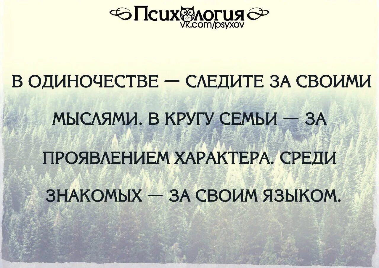 Цитата следите за своими мыслями. Следить за мыслями цитаты. Следи за своими мыслями. В одиночестве следи за своими мыслями. Песня мысли кругом