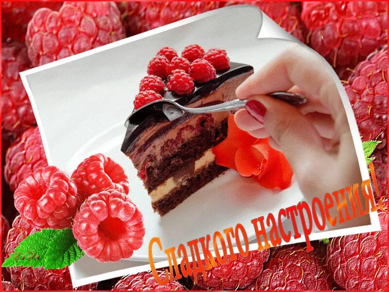 Стол полный угощений. Угостить не получится. Кофе брейк кейтеринг. Угощайтесь надпись. Фрукты на праздничный стол.